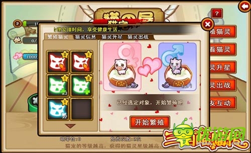 混亂的鬧貓季 《三國喵喵傳》貓寵暴動(dòng)