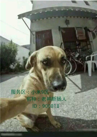 歡樂(lè)GO!《天天掛機(jī)》玩家曬標(biāo)志性建筑